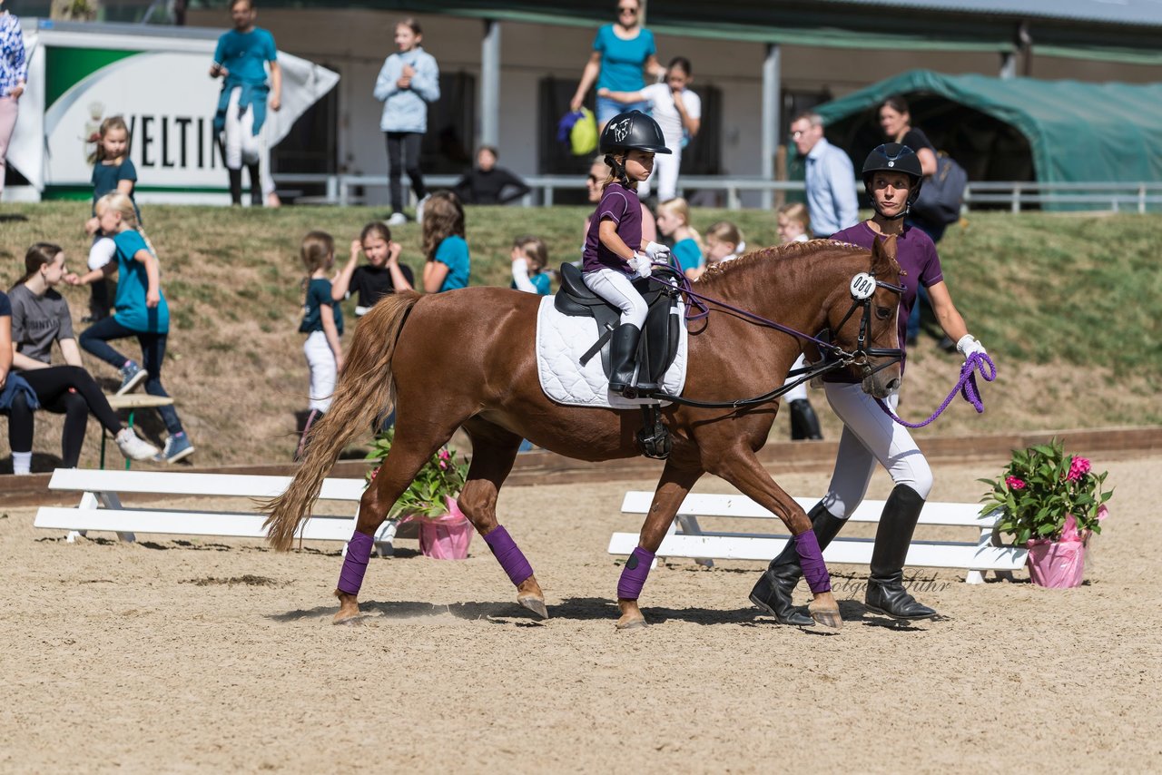 Bild 60 - Pony Akademie Turnier